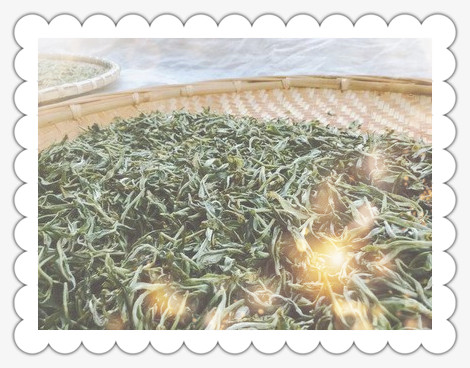 小百合古树红茶好喝吗，探索口感：小百合古树红茶究竟好不好喝？