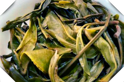 乌山茶是红茶还是白茶，有什么好处？