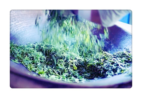 黄红缨茶业：贵州官方网站与公司介绍