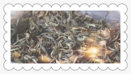 辣木茶是什么茶种，探秘神秘的辣木茶：它属于哪种茶种？