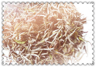 产自中国的红茶品种有哪些