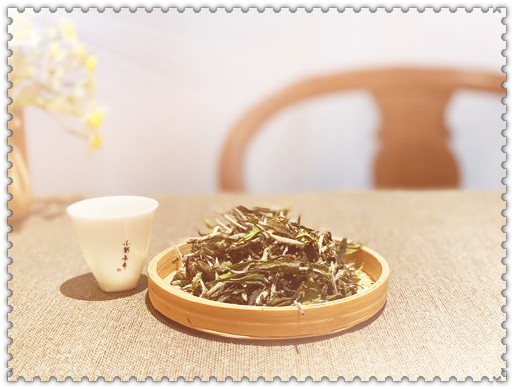 小白龙：茶叶品种、全解析