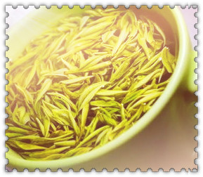 武义县产什么茶最多，探寻武义县茶叶种植：揭秘当地产量最多的茶品种