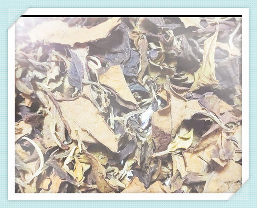 贡眉白茶是什么形状的茶叶特征图片