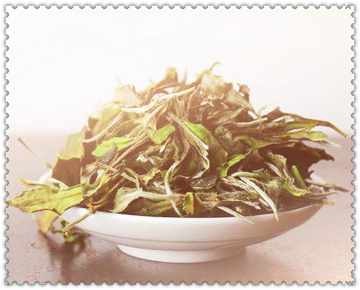 中国眉之乡茶产业加工园：茶产地货源及供应商