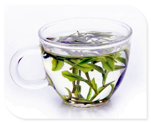 古树茶属于什么茶，探秘茶叶世界：古树茶的种类与特点