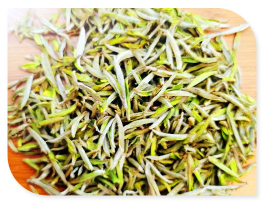 临沧永德鸣凤山茶叶的来源、价格、品种及特点