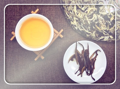 古树茶属于什么茶，探秘茶叶世界：古树茶的种类与特点