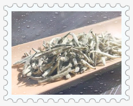 海堤红茶叶价格和介绍