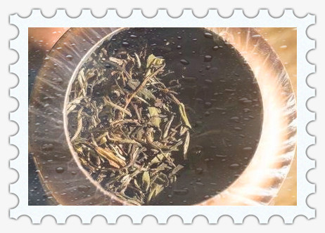 《白牡丹》白茶价格、功效与作用，属于什么茶？