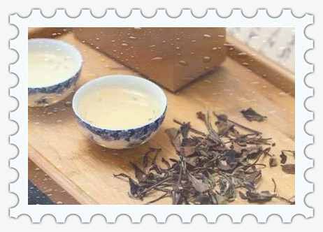 曼松古树普洱茶多少钱一斤，探寻古老韵味：曼松古树普洱茶的价格解析