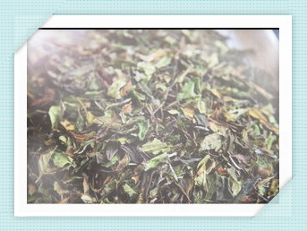 大雪山茶叶多少钱一斤，揭秘大雪山茶叶价格，一斤要多少钱？