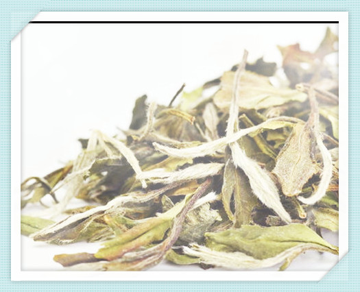 什么茶最清香，探寻茶中清香，什么茶品种更具香气？