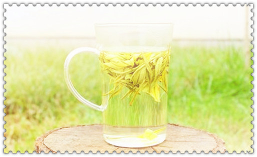 云南滇红茶可以放多久，如何保存？云南滇红茶的保质期是多久？