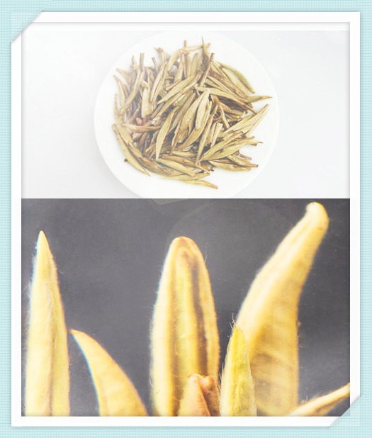 曼松贡茶：2023价格、属于什么茶、简介、特点和口感