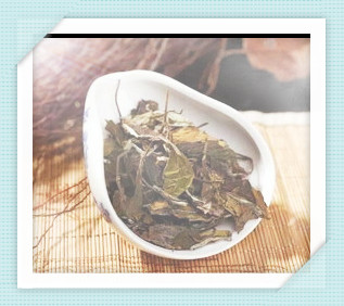 建阳贡眉最老的年份是多久的建阳贡眉白茶