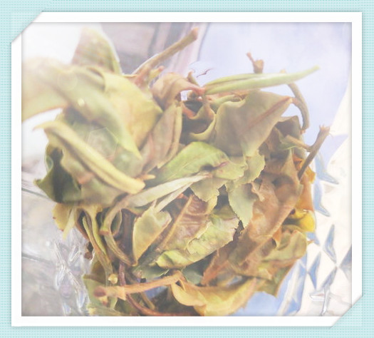 井冈山野生红茶介绍及特点，对肝脏影响，评价如何？