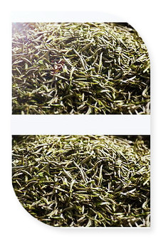 眉新茶的味道和茶叶类型