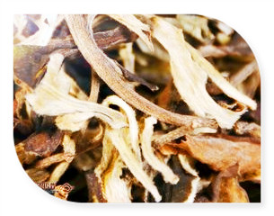 贡眉产区和茶叶原产地的特点