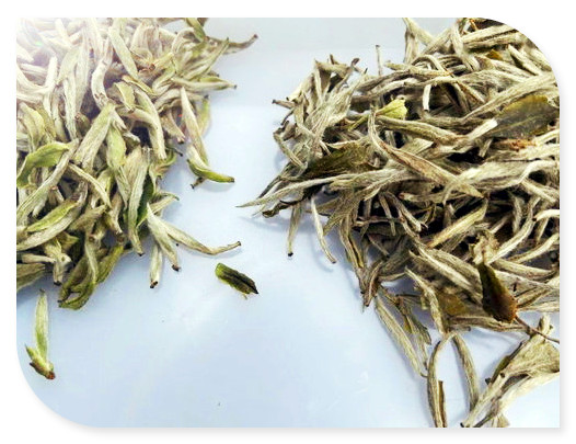 大雪山茶叶多少钱一斤，揭秘大雪山茶叶价格，一斤要多少钱？
