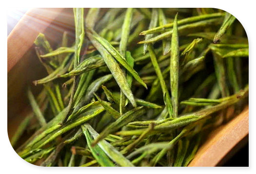 萎凋不足的红茶有哪些品种及其品质影响