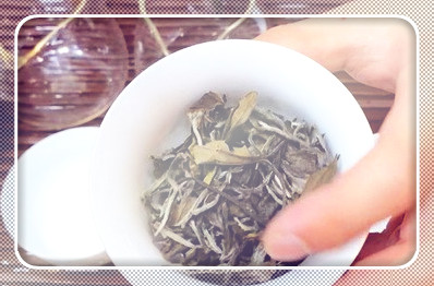 塔鼎红有机红茶谷佳茶叶价格及常塔鼎红有机红茶的价格