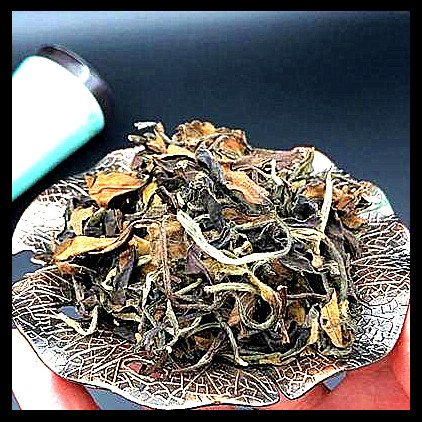 曼松古茶园被烧，曼松古树茶厂，曼松古树茶价格表