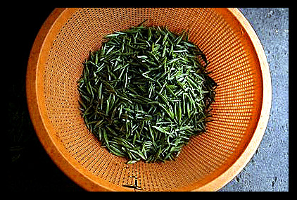 贵州梵净山红茶怎么样好喝，介绍及价格