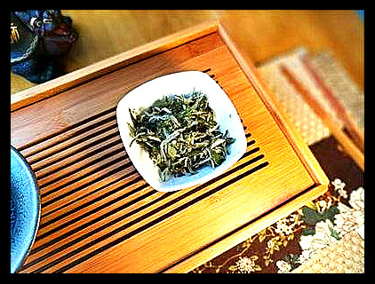 北方最畅销的茶叶种类及品牌推荐