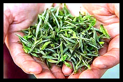 流茶是什么茶类，探秘茶叶世界：详解“流茶”属于哪一类茶