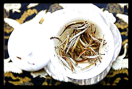 昔归黄金叶普洱生茶的特点与回归自然的味道