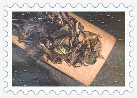 曼松普洱生茶的功效与副作用、口感及作用