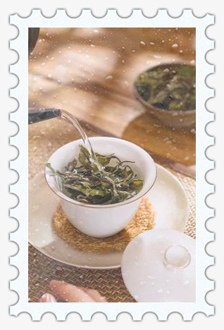 安吉红茶属于什么茶种类
