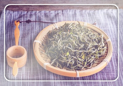 窖藏贡眉的价格，窖藏贡眉是红茶还是绿茶，值得收藏吗？
