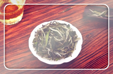 新疆的茶有哪些品种