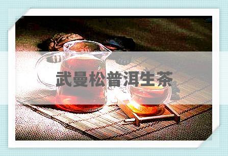 武曼松普洱生茶