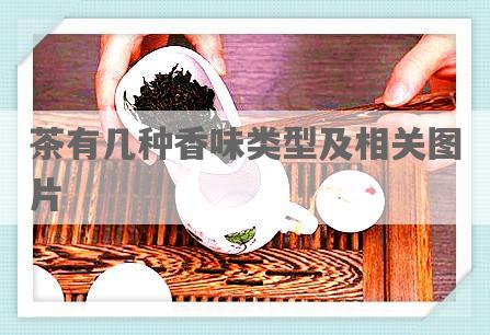 茶有几种香味类型及相关图片
