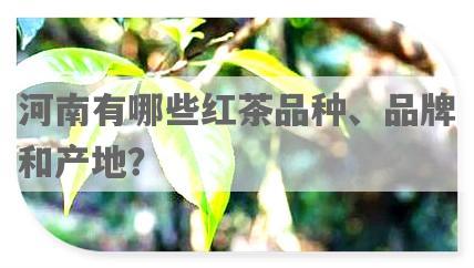 河南有哪些红茶品种、品牌和产地？