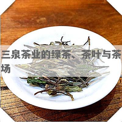 三泉茶业的绿茶、茶叶与茶场