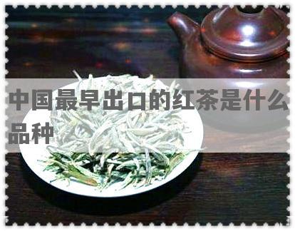 中国最早出口的红茶是什么品种