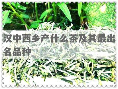 汉中西乡产什么茶及其最出名品种