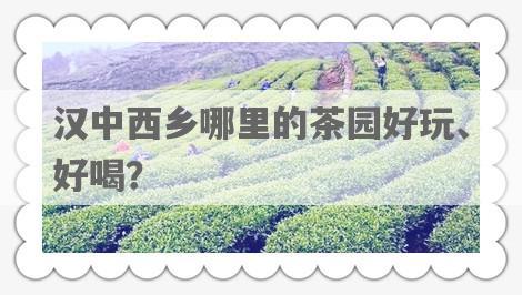 汉中西乡哪里的茶园好玩、好喝？