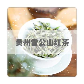 贵州雷公山红茶