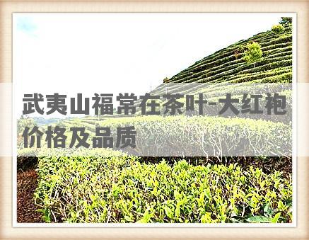 武夷山福常在茶叶-大红袍价格及品质