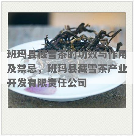 班玛县藏雪茶的功效与作用及禁忌，班玛县藏雪茶产业开发有限责任公司