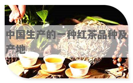中国生产的一种红茶品种及产地
