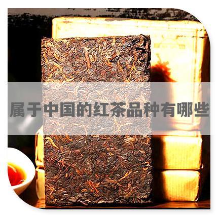 属于中国的红茶品种有哪些