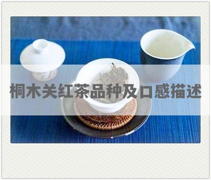 桐木关红茶品种及口感描述