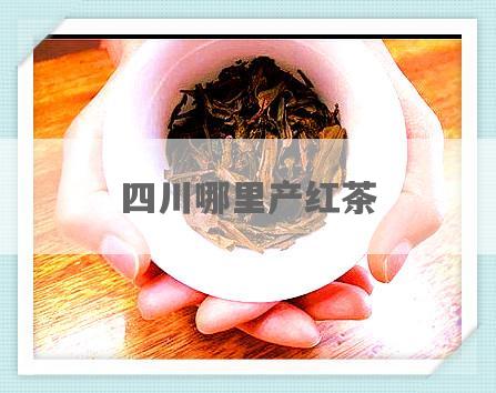 四川哪里产红茶