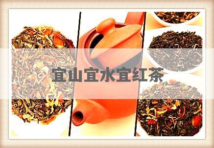 宜山宜水宜红茶